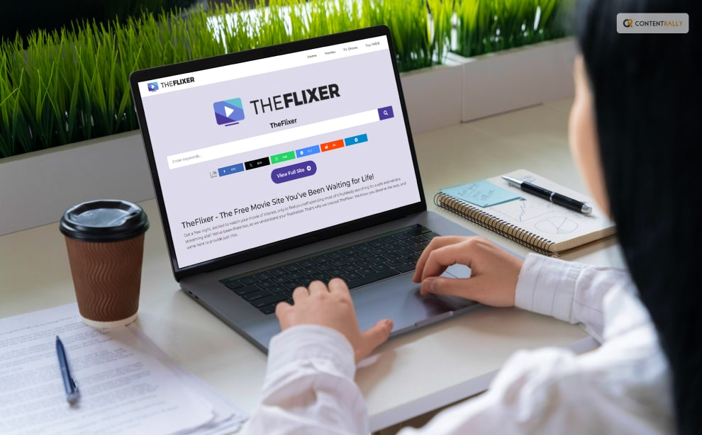 How To Login On To Theflixer TV? 